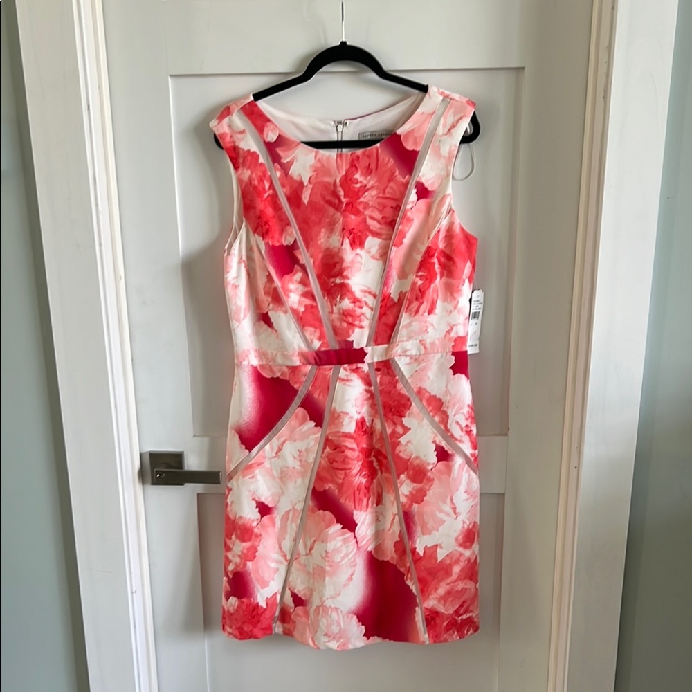 Sandra Darren Pink and White Sheath Dress Cap Sleeve Scoop Neck